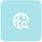 Magnifying Glass over World Icon